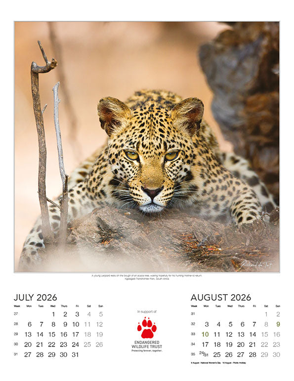 Endangered Wildlife Trust - 2026 Wildlife Wall Calendar