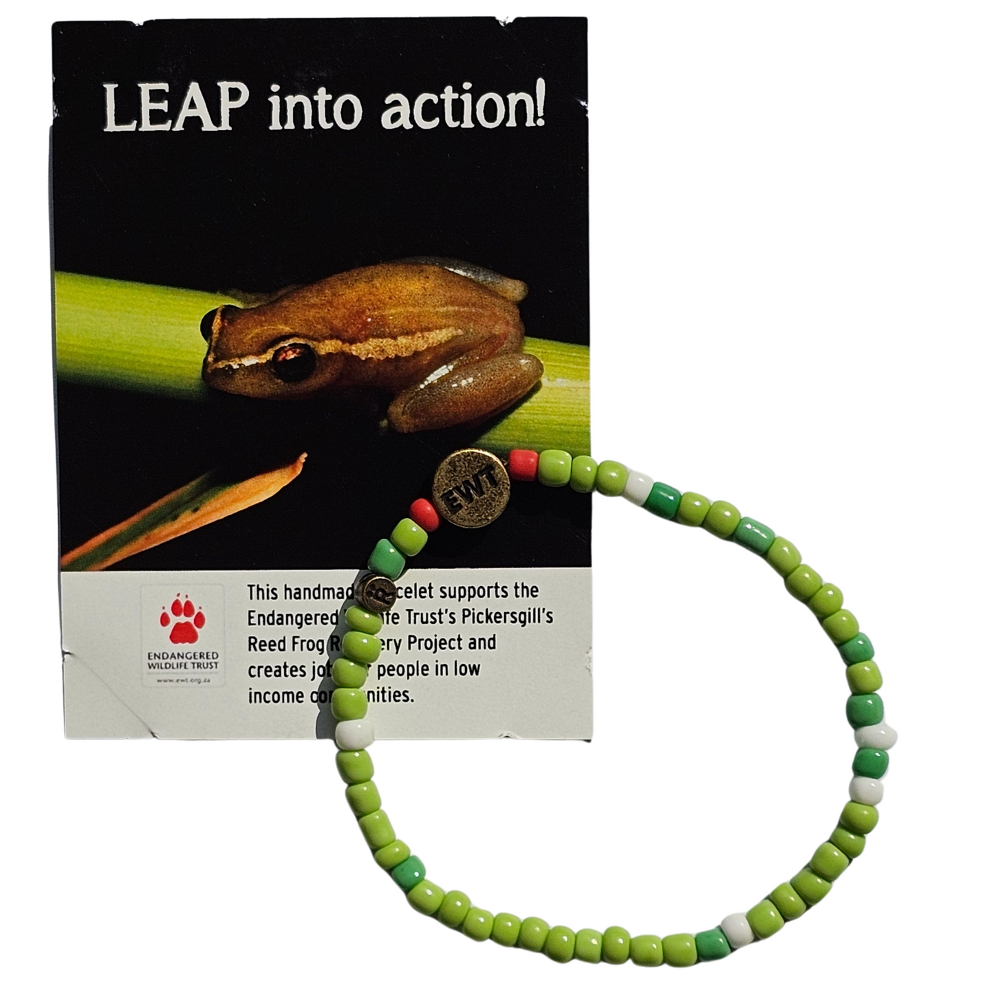 Endangered Wildlife Trust - Pickersgill's Reed Frog Bracelet